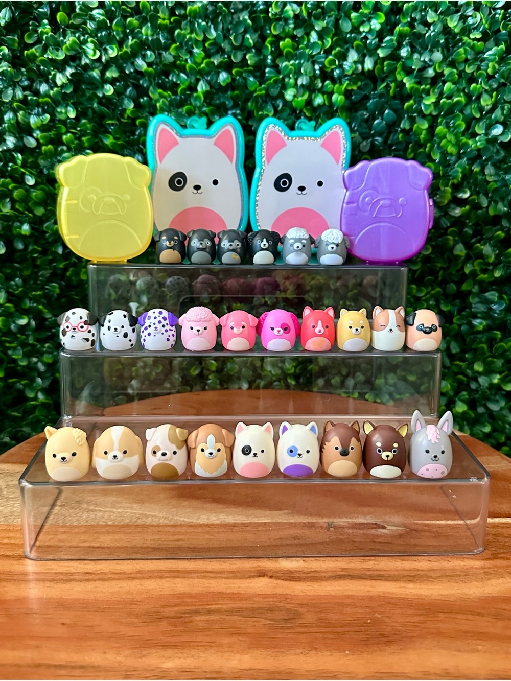 Squish-a-longs by Squishmallows Dog Bundle